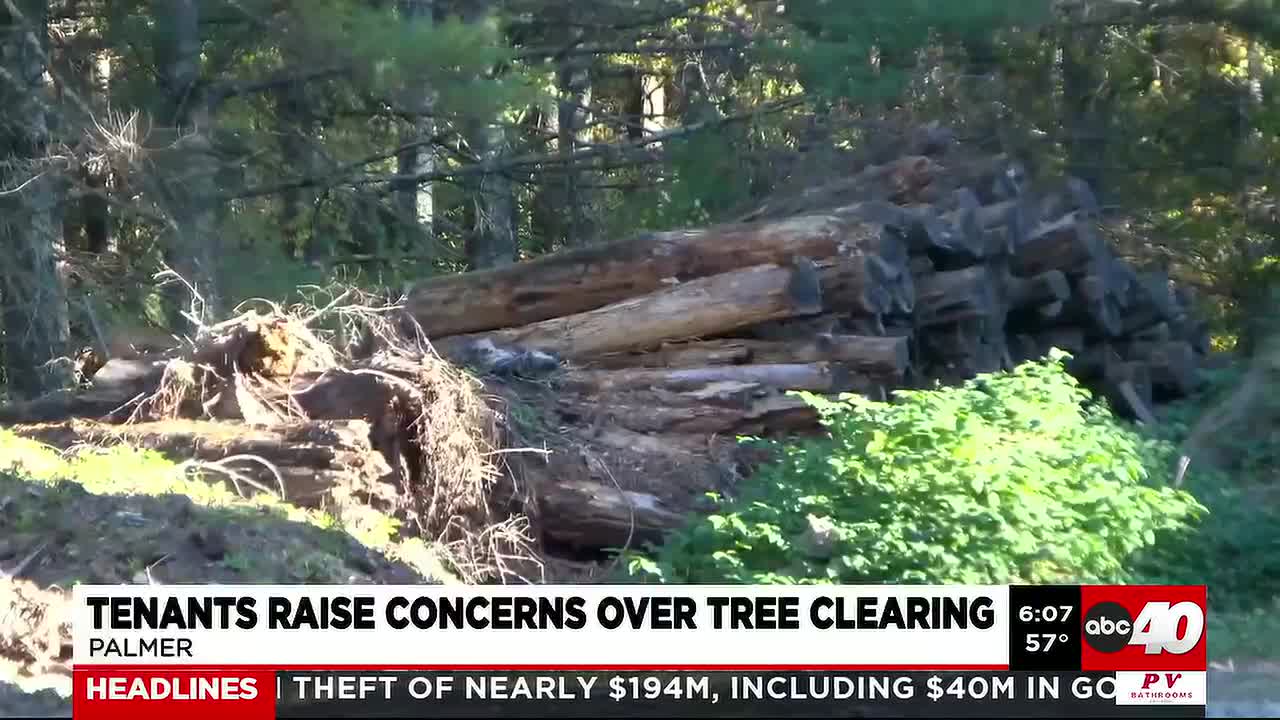 Palmer Mobile Home Park Residents Seek Order to Halt Tree Removal