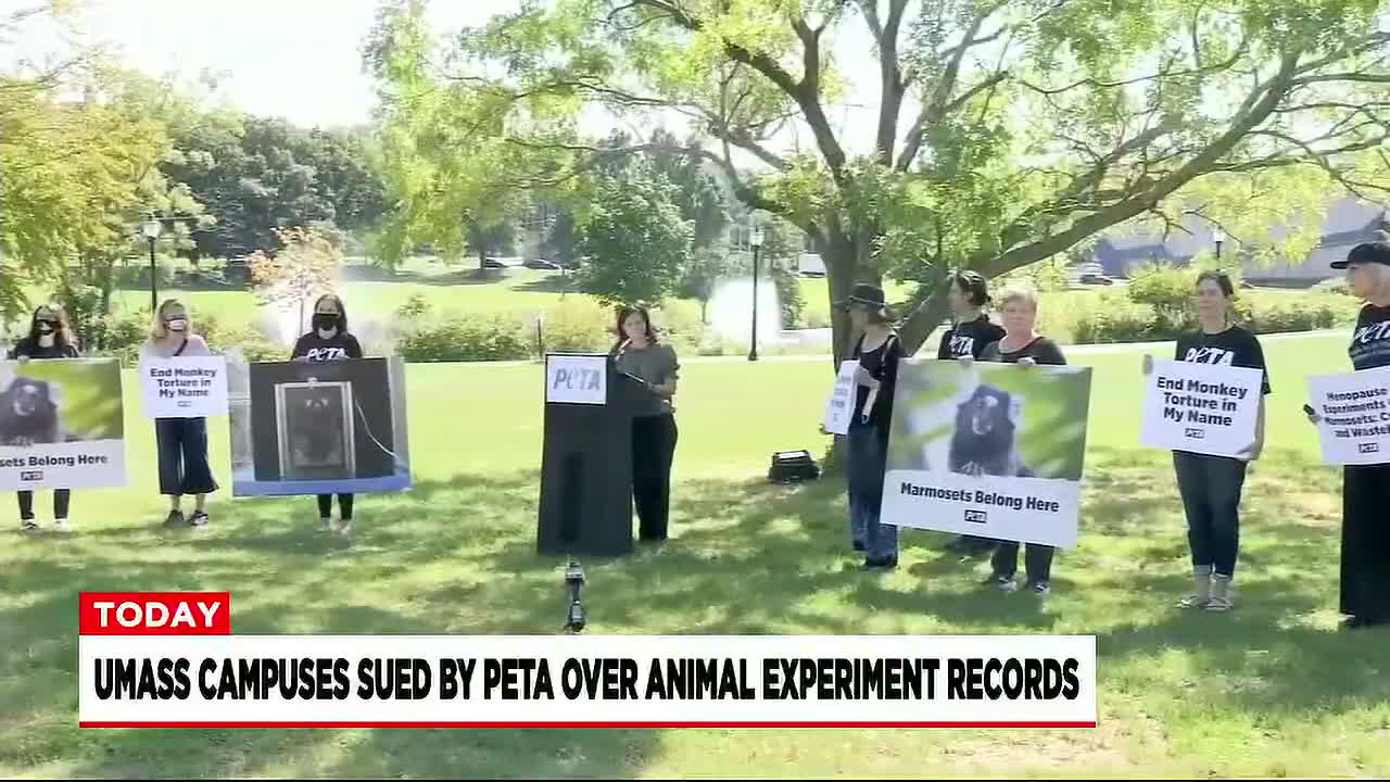 PETA Files Public Records Lawsuits Against UMass Campuses Over Animal Research Information