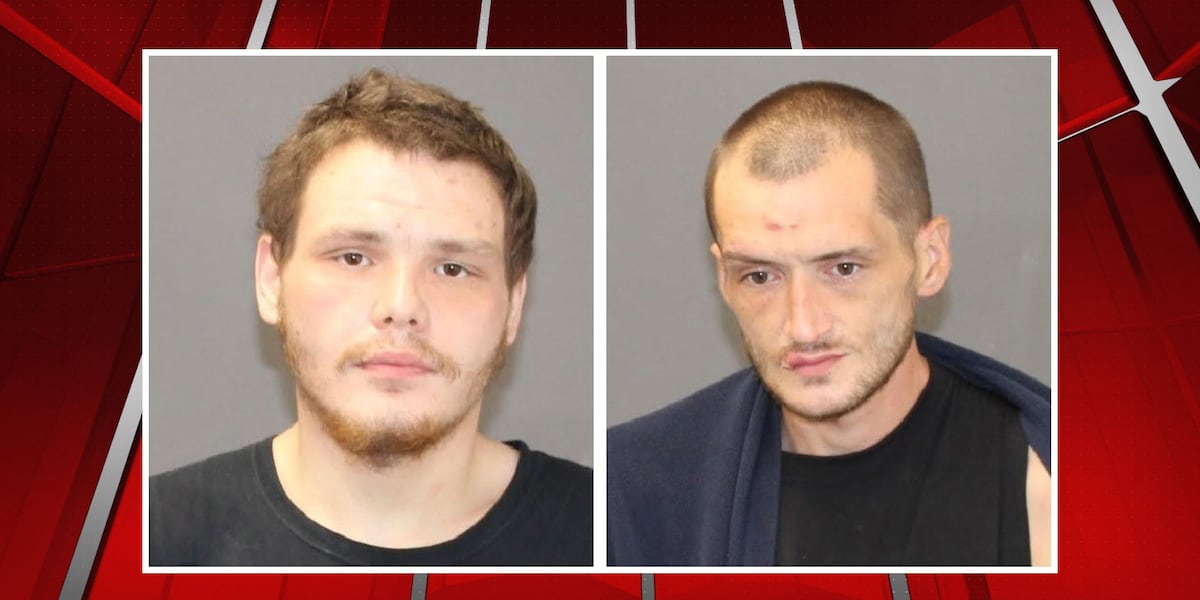 Two arrested after Ware police execute search warrant for stolen property