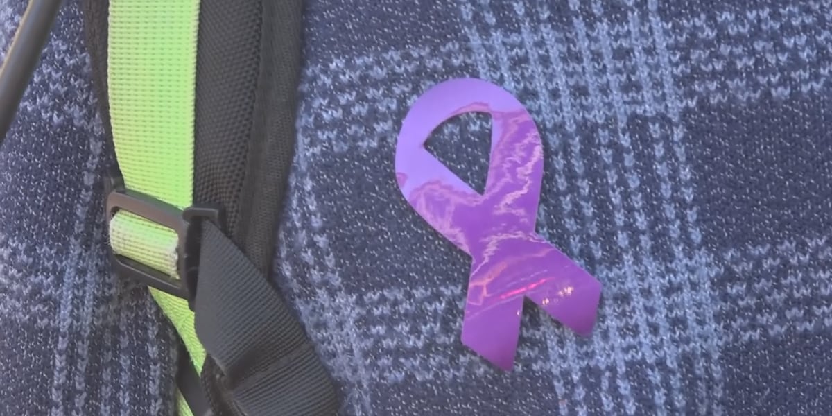 Hotel UMass murder highlighting domestic violence resources in western Mass.