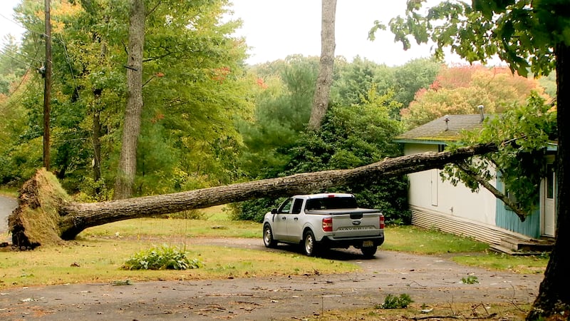 Ware Old Poor Farm Road tree hits house