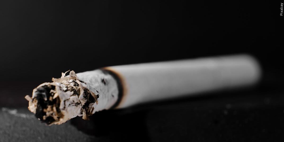 Northampton debates generational nicotine ban with store owners, experts