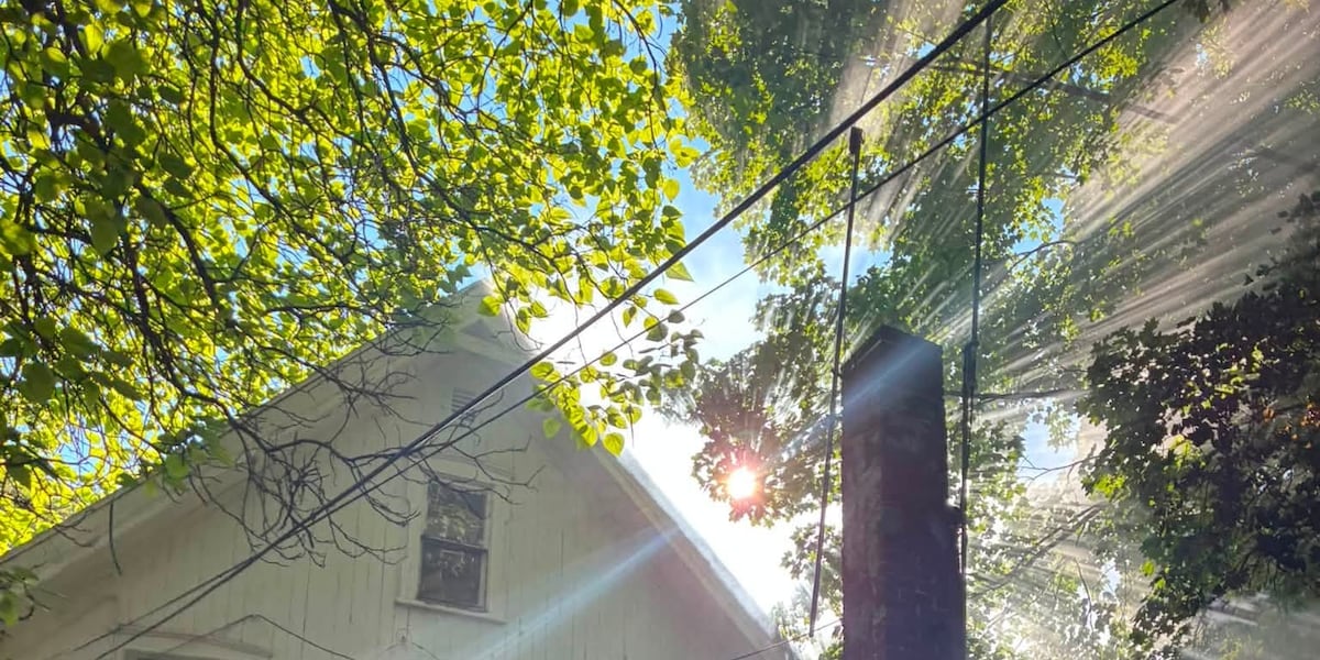Five displaced in morning fire in Springfield’s McKnight neighborhood