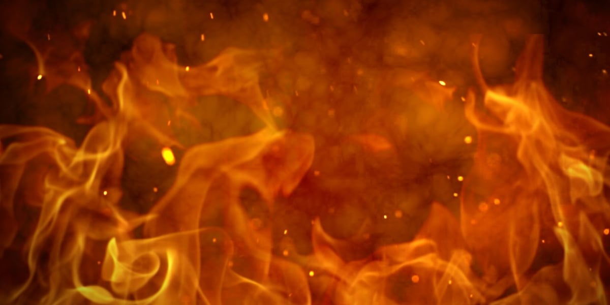 Fire crews battle massive blaze in Forest Park