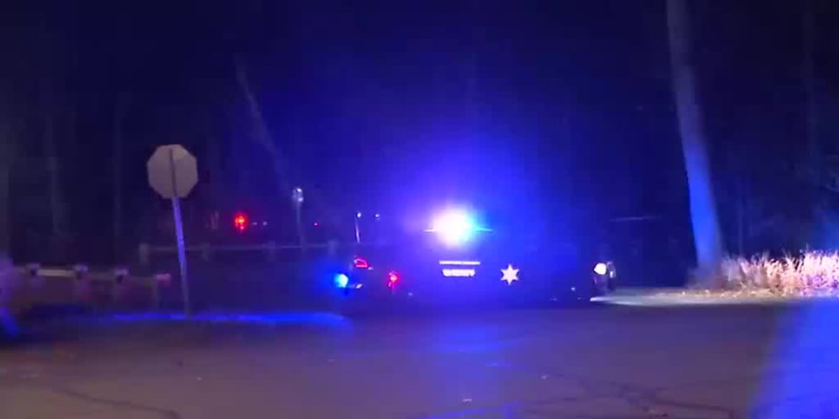 Officials identify body found at Springfield’s Forest Park Officials identify body found at Springfield’s Forest Park