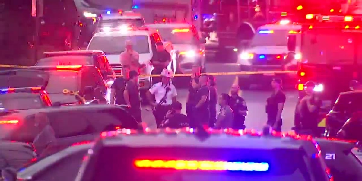 2 hospitalized, 8 arrested after gunfire erupts at Cadillac Ranch