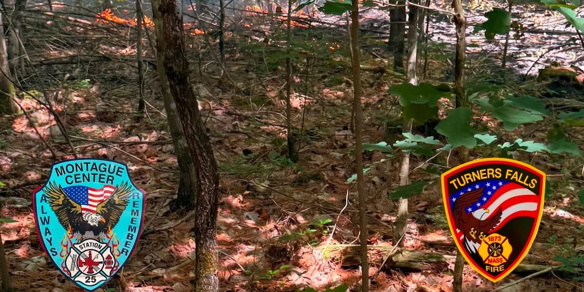 Firefighters fight multiple brush fires in one day