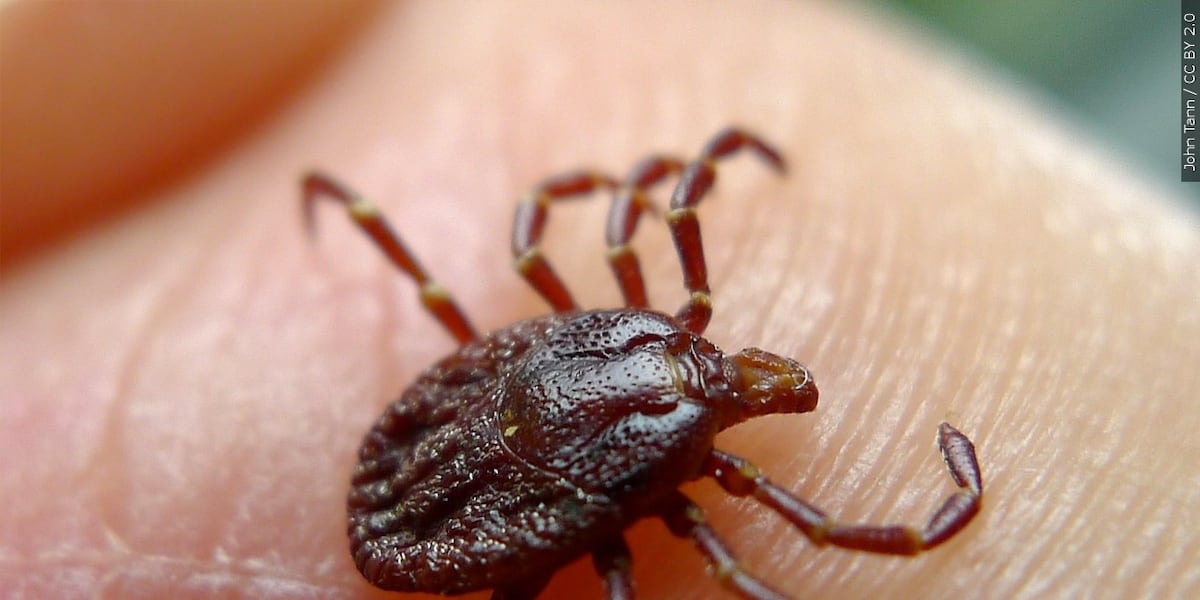 “Tick Season”: The new vaccine fighting Lyme disease