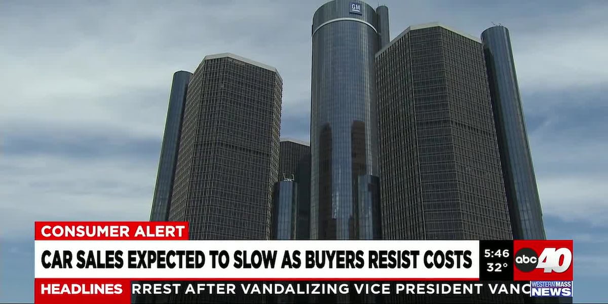 Car sales expected to slow as buyers resist costs
