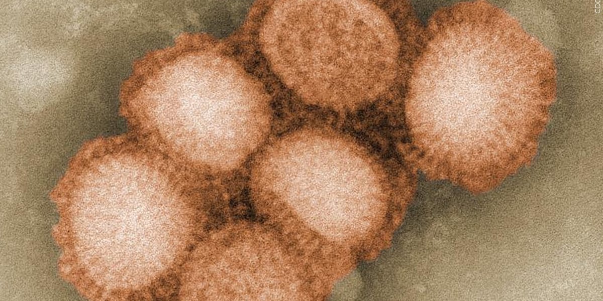State sees rise in flu cases ahead of Christmas holiday