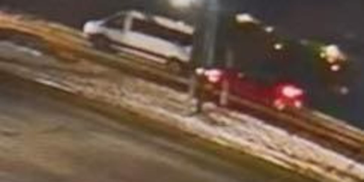 Police seek help looking for hit-and-run suspect