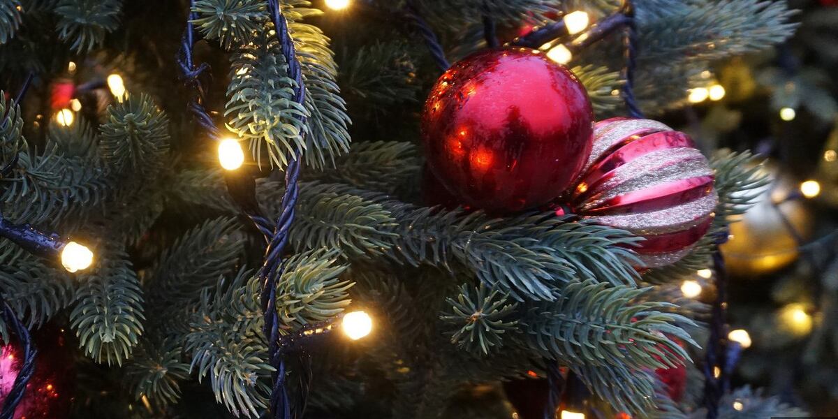 Holyoke’s Veterans Park hosts first ever tree lighting