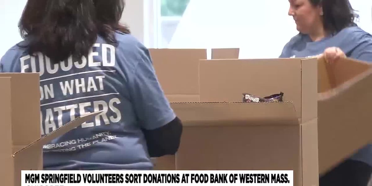 MGM Springfield volunteers helping to fight food insecurity