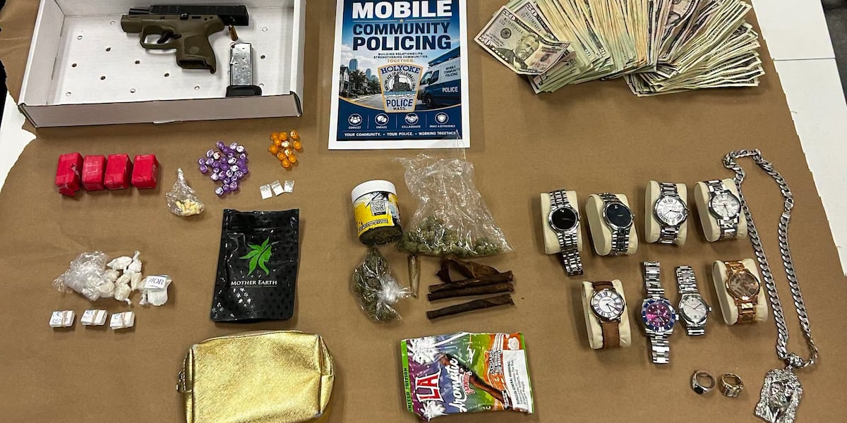 Puppy in hot car leads Holyoke police to loaded firearm, hundreds of drug bags