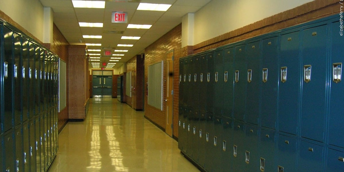 Amherst officials reveal names for 2 new schools