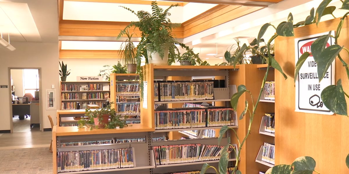 Mass. House approves bill limiting book removals in public and school libraries