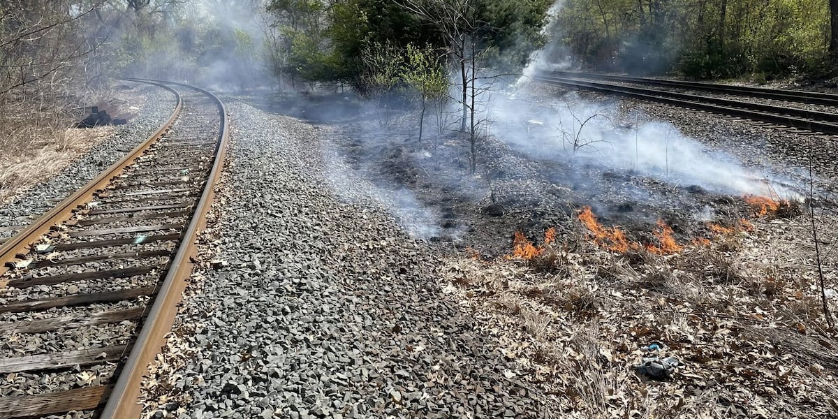 Brush fire closes part of Bay Street in Springfield