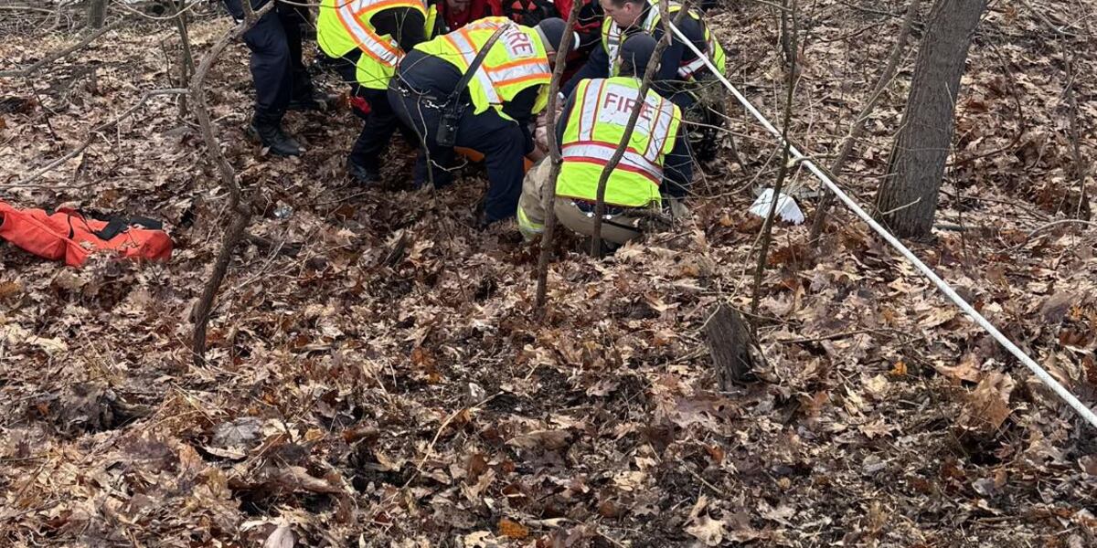 Rescue crews help stranded person out of river