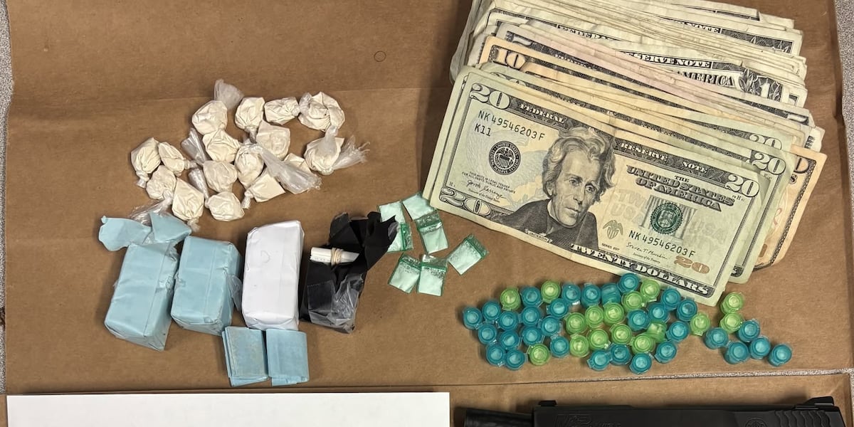 Loaded gun, 181 bags of heroin seized in Holyoke gang detail