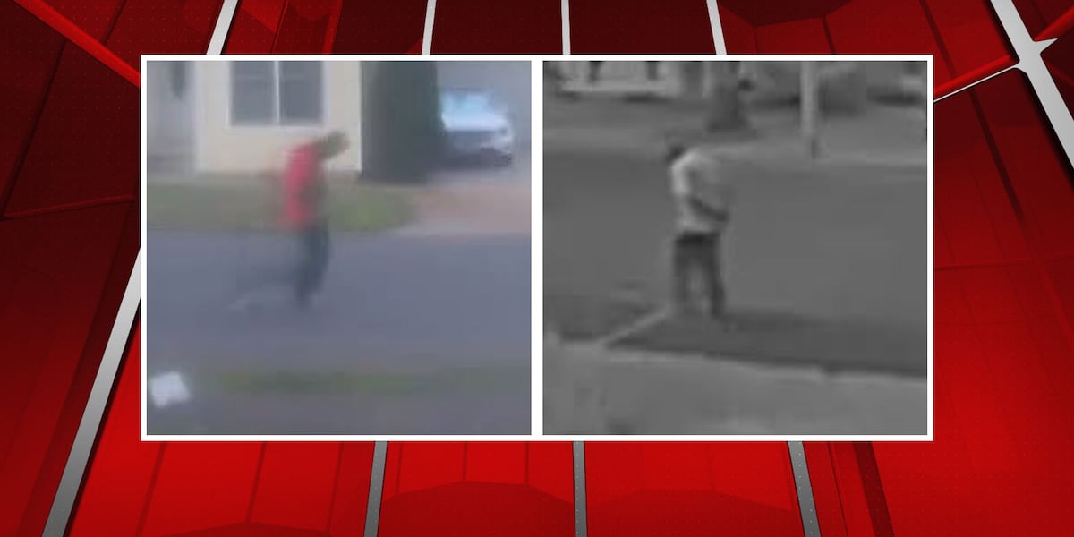 Person of interest sought in South Hadley vehicle break-in