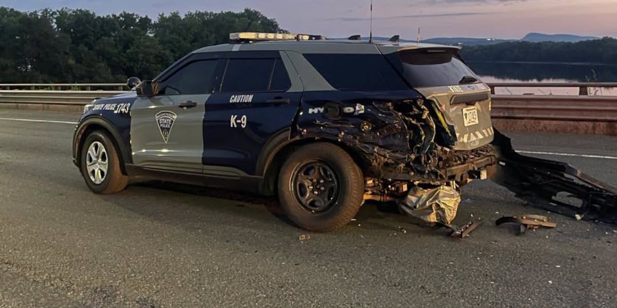 Wrong way crash on I-91 injures three others, including K9
