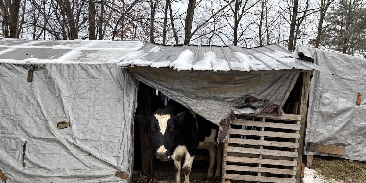Hadley man facing charges after 317 animals seized from sanctuary