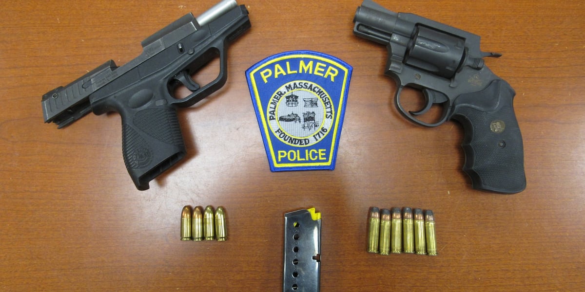 Traffic stop leads to two gun arrests