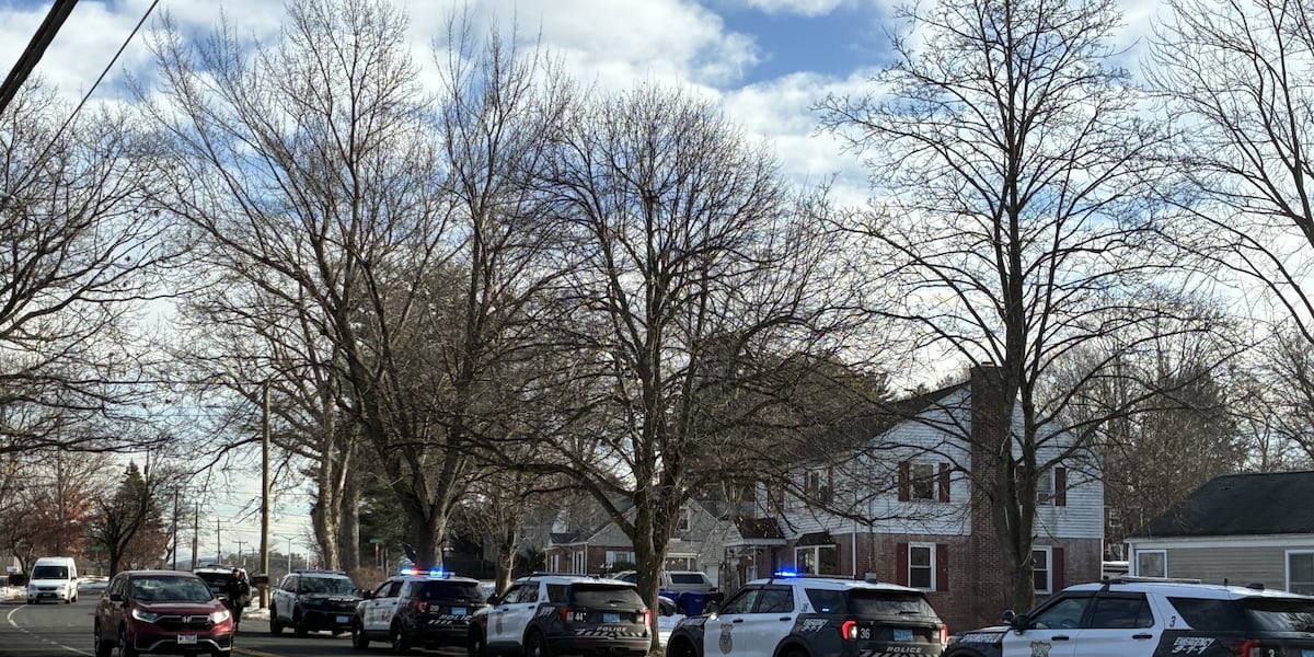 Heavy police presence in Springfield neighborhood