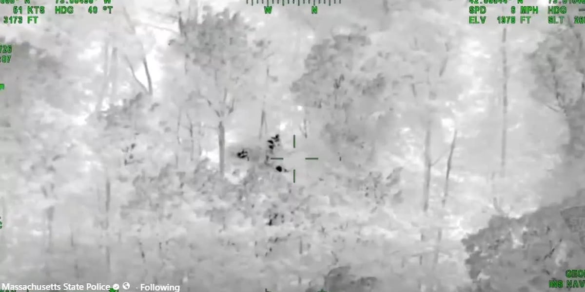 Aerial video captures rescue of missing 88-year-old hiker in Savoy