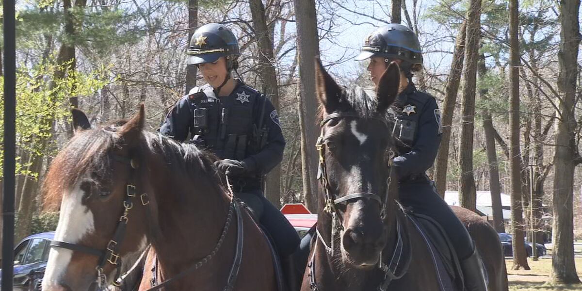 Sheriff’s budget cuts will end daily patrols at Union Station, Forest Park