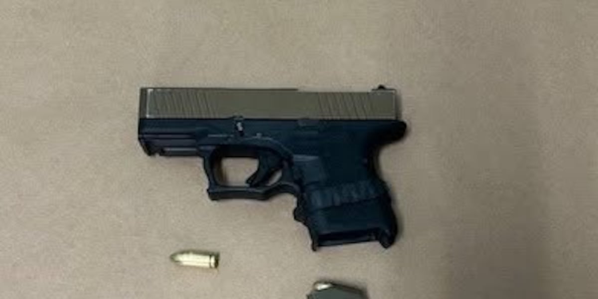 Ghost gun recovered from Springfield backyard, suspect arrested