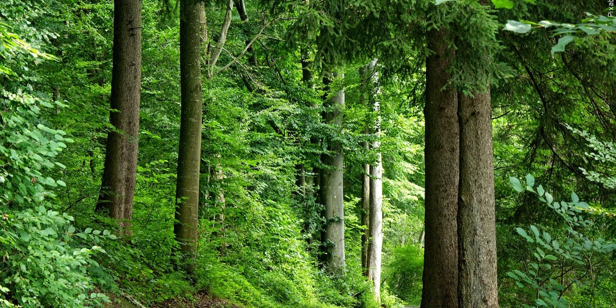 Massachusetts launches summer scavenger hunt across state parks