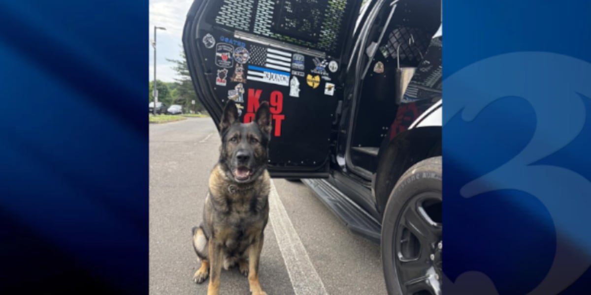 Man wanted on warrant caught after Enfield K-9, drone pursuit