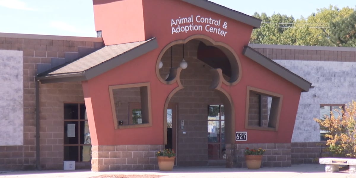 TJO, MSPCA hosting Valentines-themed adopt-a-thon