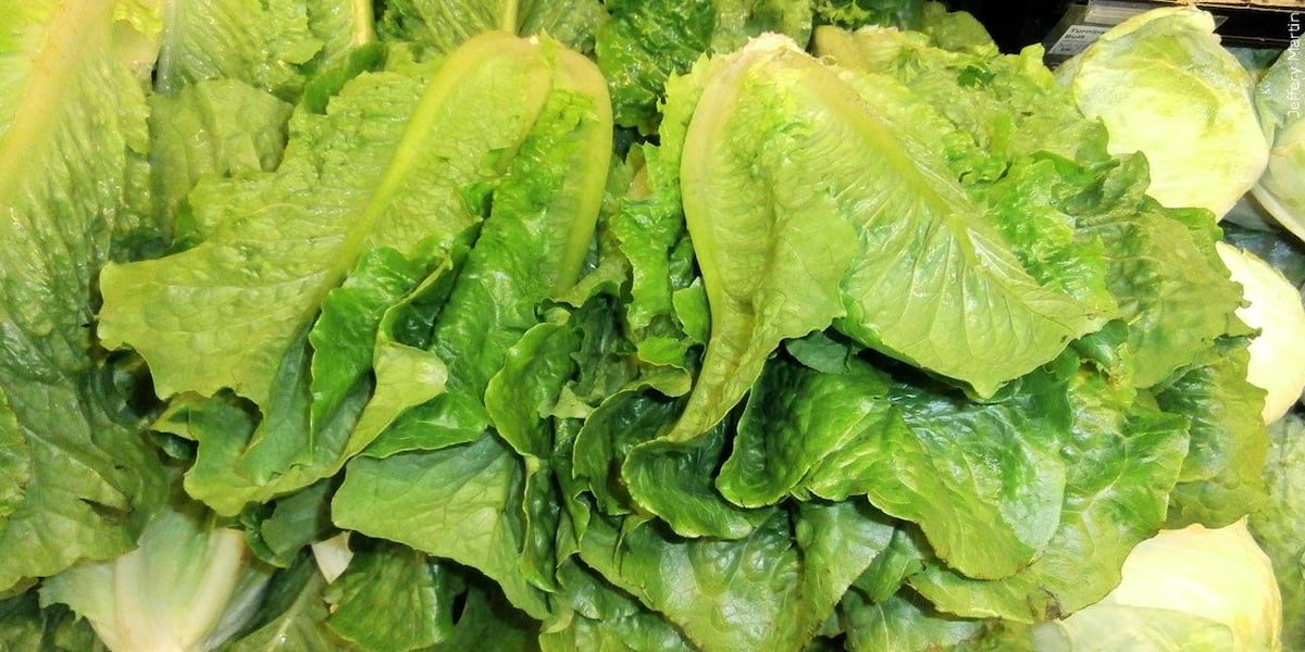 Taylor Farms lettuce sample tested for cyclospora was a false positive, FDA says