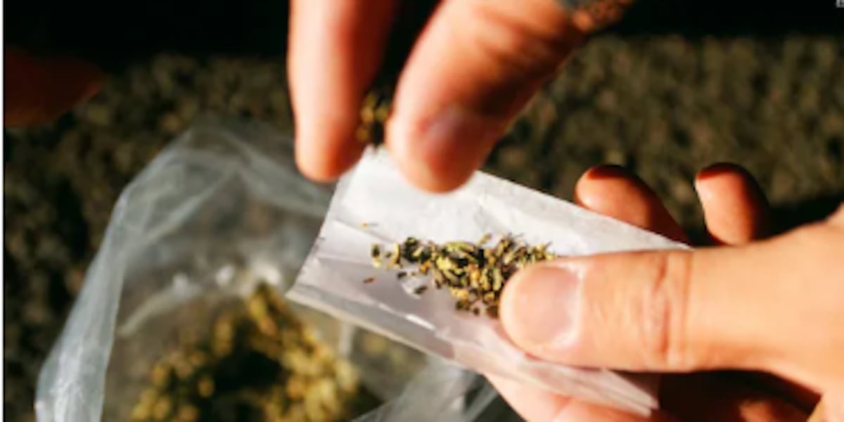 Mass. Cannabis Control Commission expands marijuana laws