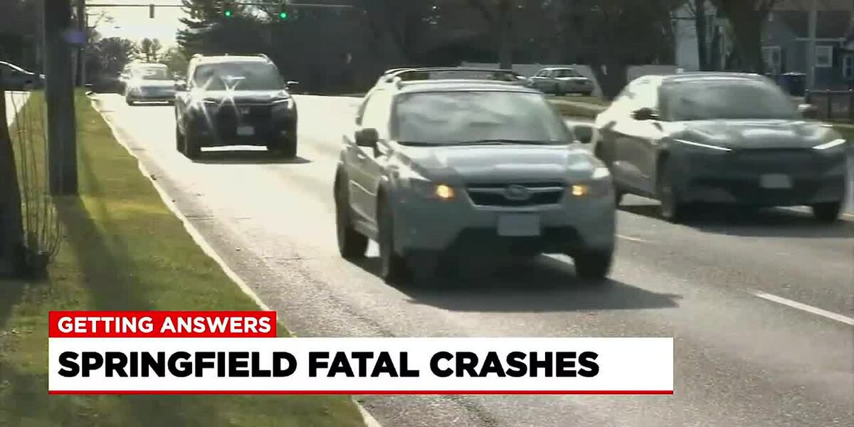 Springfield city leaders details plans to decrease number of fatal ...