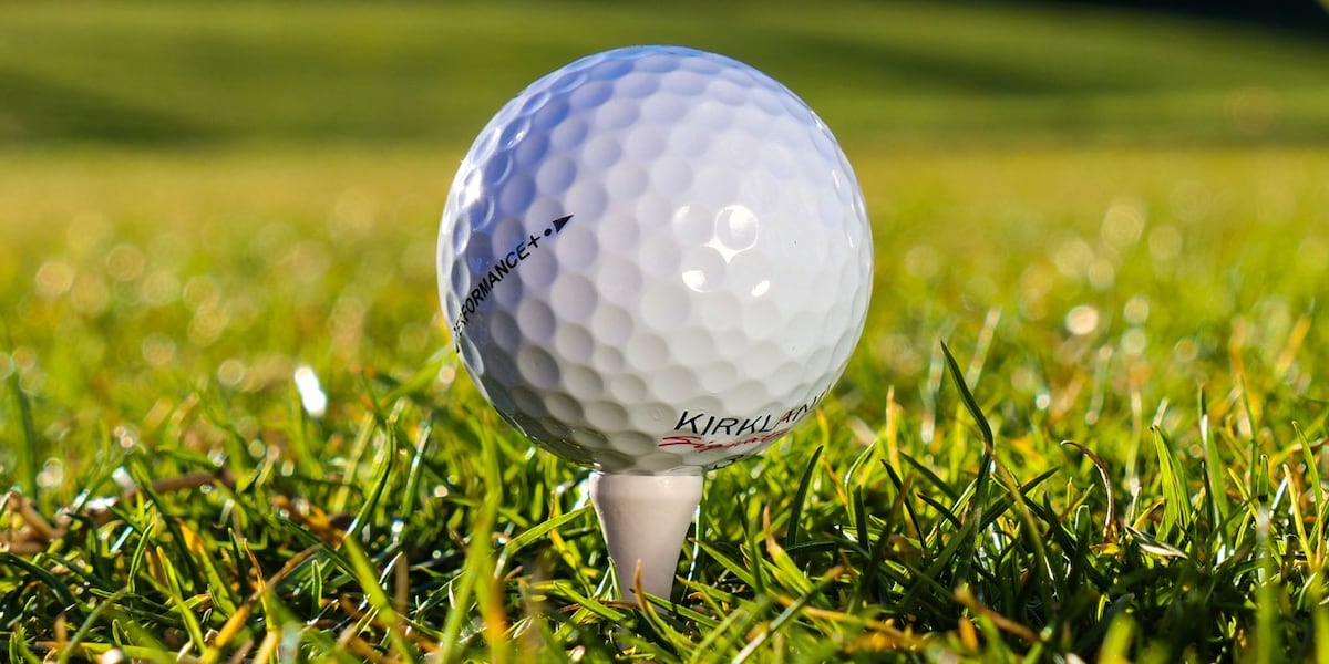 Golf tournament benefits FOCUS Center for Autism