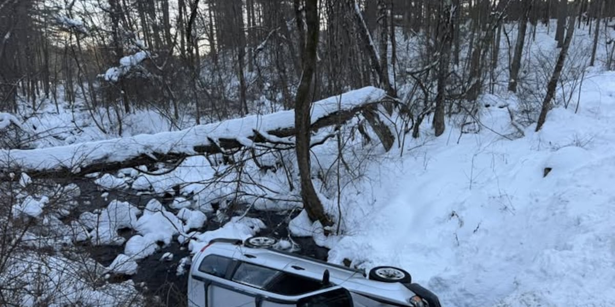 Fire crews rescue driver from river
