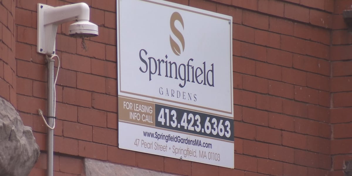 Former owner of Springfield Gardens could pay millions in settlement