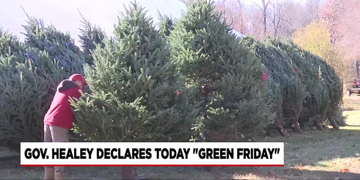 Christmas tree shopping brings about new and old holiday traditions in Agawam Christmas tree shopping brings about new and old holiday traditions in Agawam