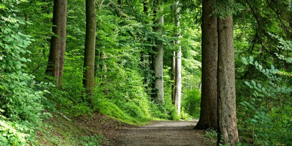 State report highlights need for accessible trails in Mass.