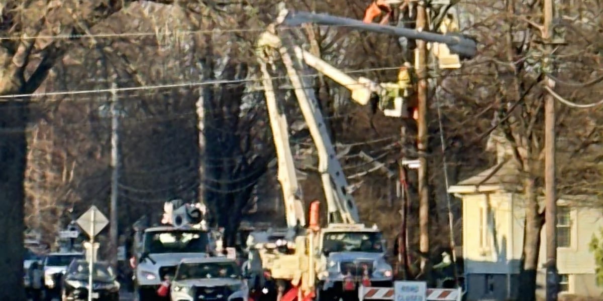 Car crashes into telephone pole overnight