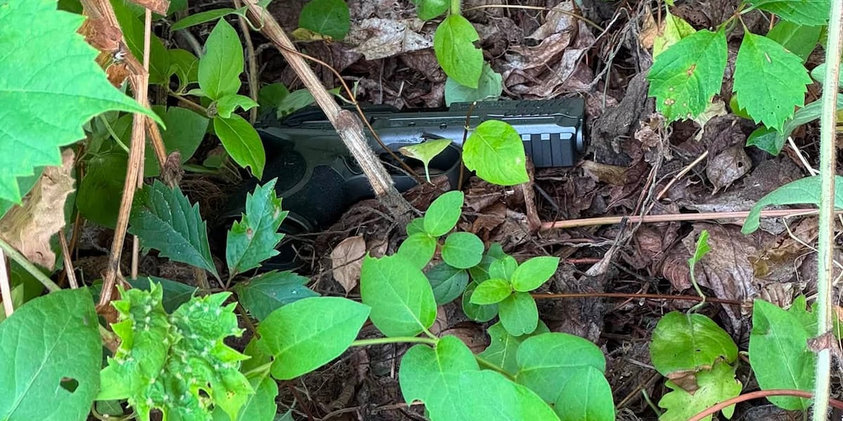 Two guns stolen in East Longmeadow car break-ins; Springfield man arrested