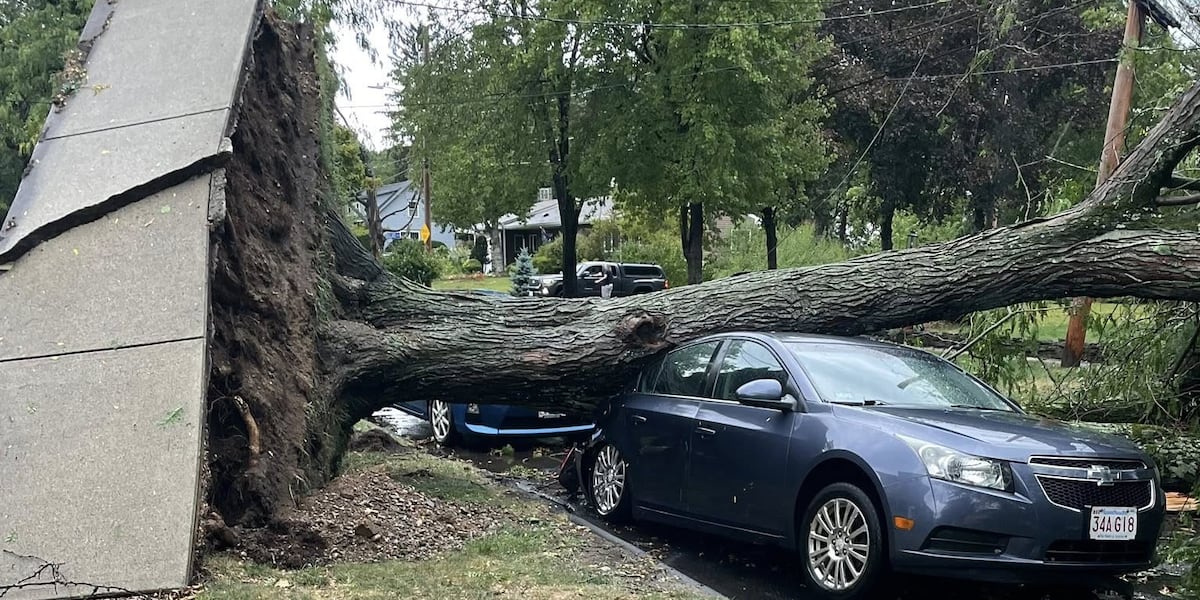 Extensive Damage Example Residents react to extensive storm damage