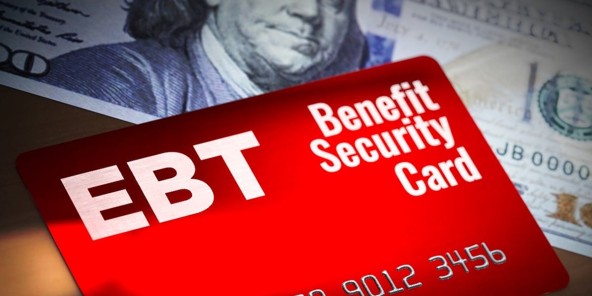 Healey-Driscoll Administration launches EBT chip cards to prevent theft