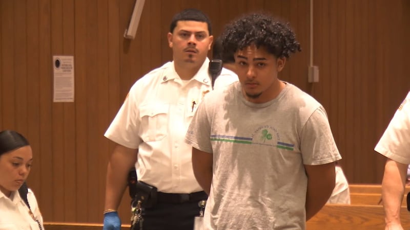 Suspect in deadly Springfield hit-and-run out on bail