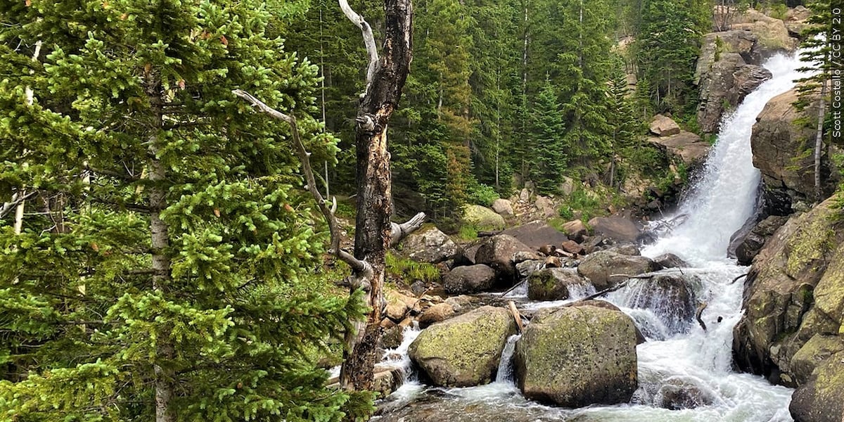 Gov. Healey awards grants to wildlife conservation