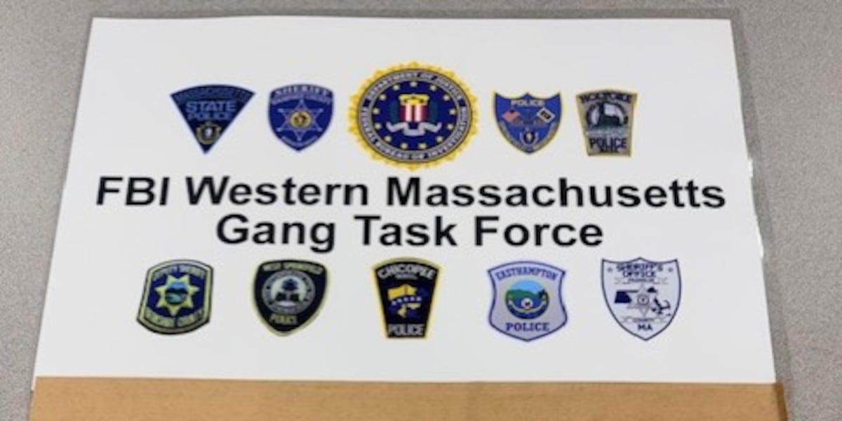 Months-long investigation leads to arrest of Holyoke man