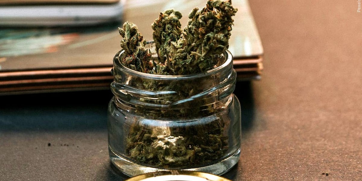 Marijuana returns to the ballot box this November; will it stay or be repealed?